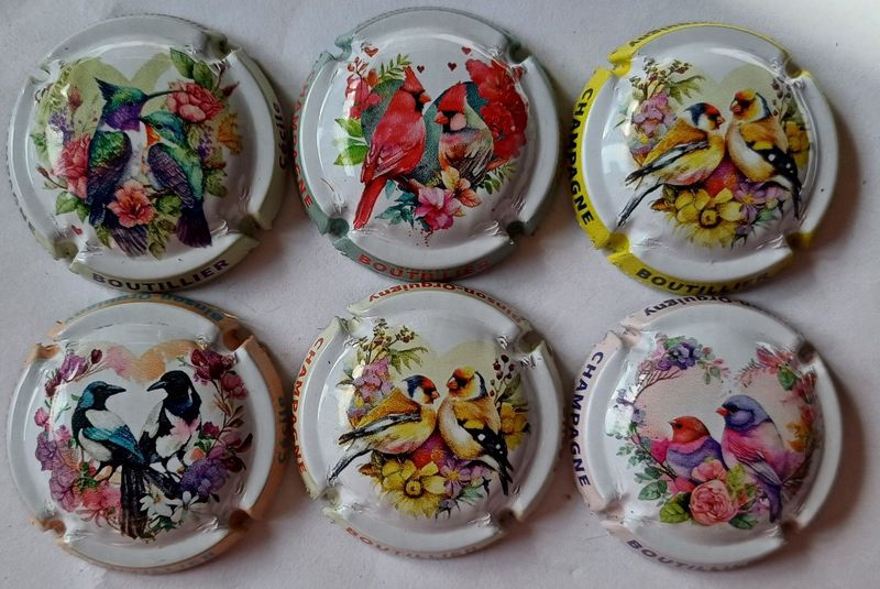 6 BELLES CAPSULES CHAMPAGNE BOUTILLIER CECILE COUPLE OISEAUX 2025 NEWS
