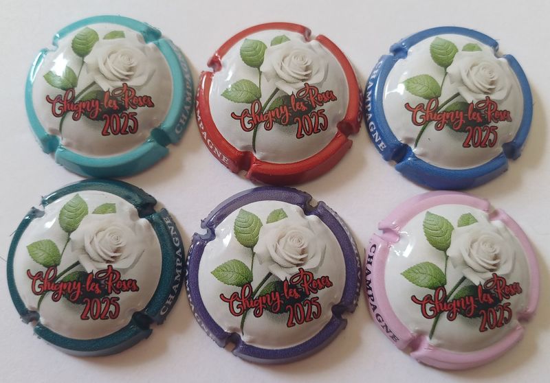 6 BELLES CAPSULES CHAMPAGNE CHIGNY LES ROSES 2025 NEWS