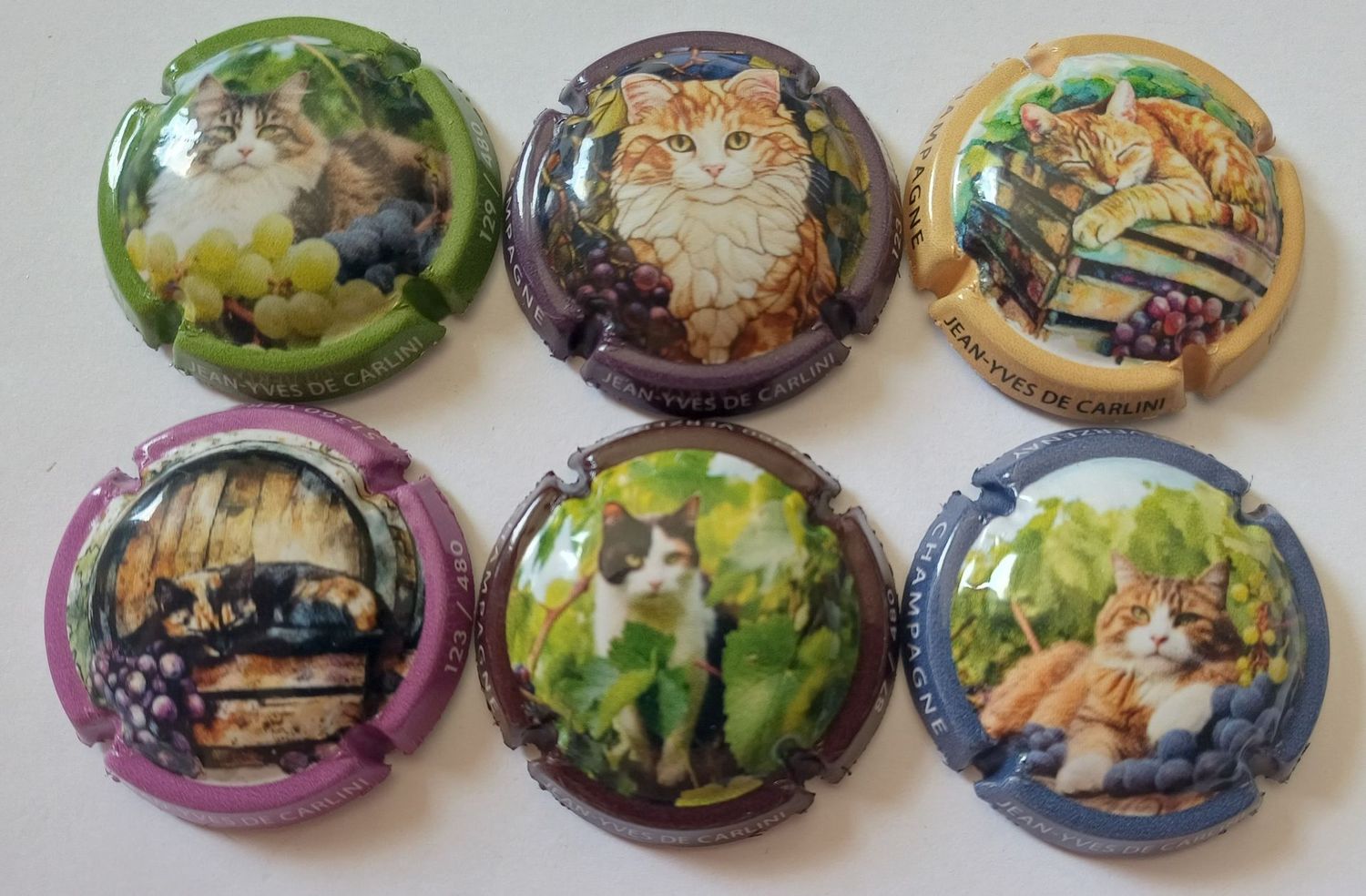 6 BELLES CAPSULES CHAMPAGNE DE CARLINI CHATS 480EX 2025 NEWS