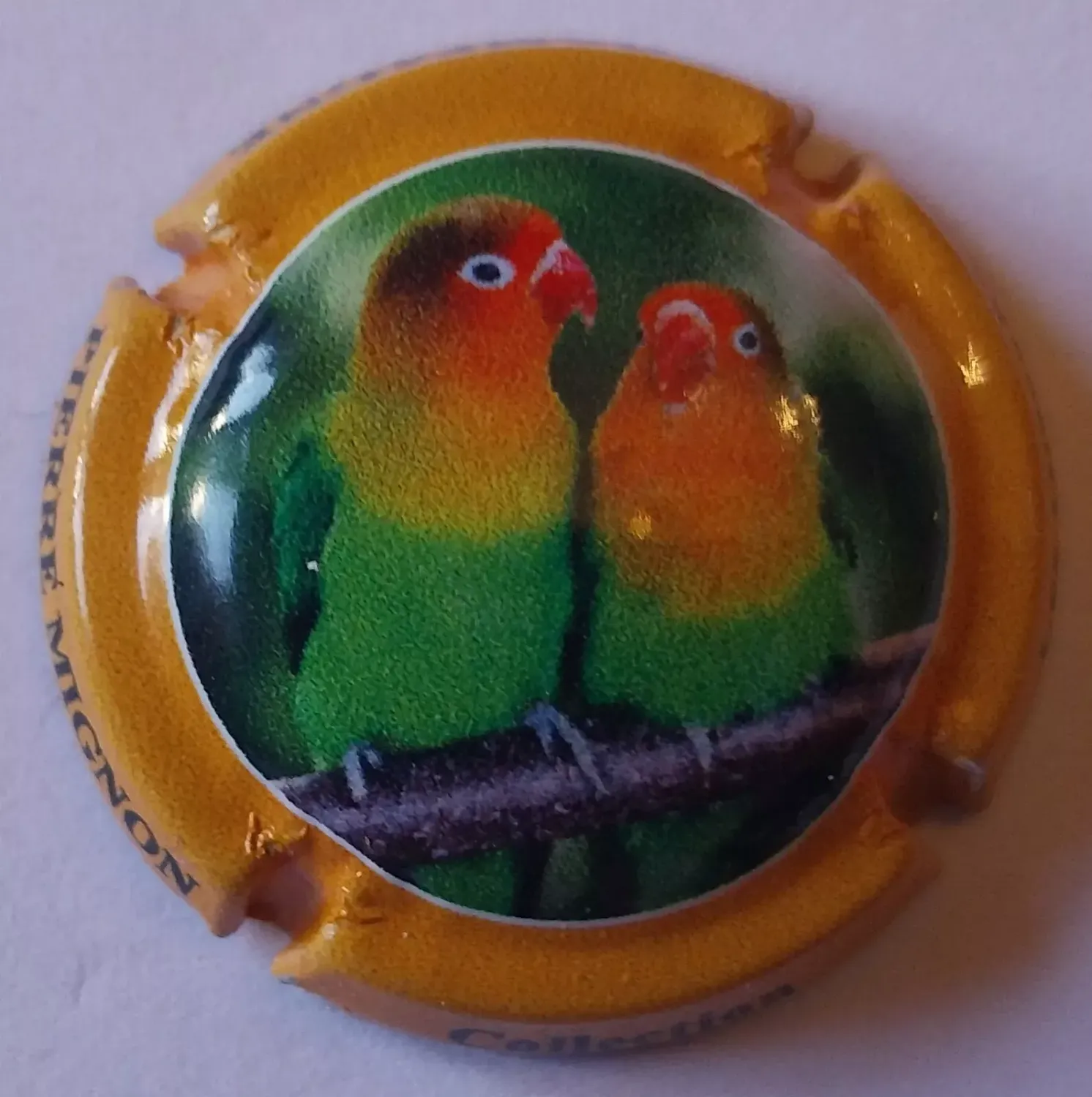 BELLE CAPSULE CHAMPAGNE PIERRE MIGNON OISEAU REF N°264f NEWS