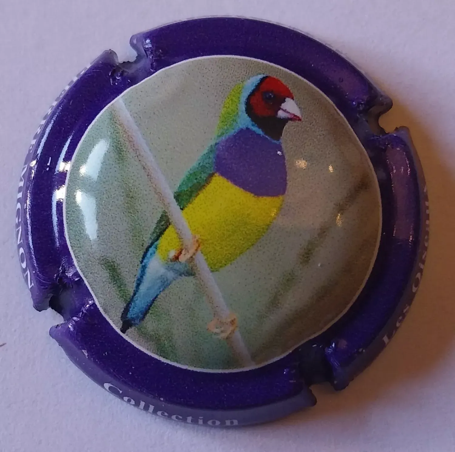 BELLE CAPSULE CHAMPAGNE PIERRE MIGNON OISEAU REF N°264g NEWS