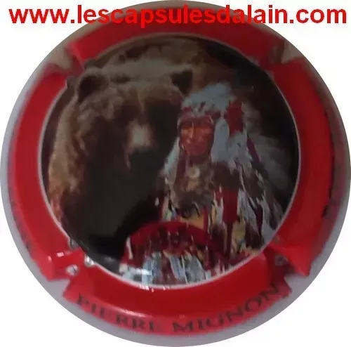 BELLE CAPSULE CHAMPAGNE PIERRE MIGNON POW WOW REF N°179 NEWS