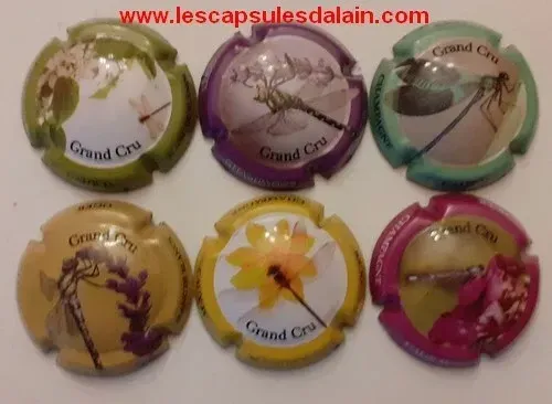 6 BELLES CAPSULES CHAMPAGNE CAUX DOMINIQUE REF N°28 a 28e NEWS