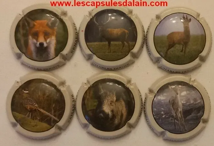 6 BELLES CAPSULES CHAMPAGNE CHARLES DUGNE CHASSE REF N°5 et 10 NEWS