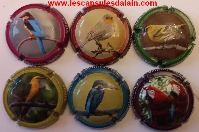 6 BELLES CAPSULES CHAMPAGNE NICOLAS MARLE LES OISEAUX 2023 REF N°14 a 14e NEWS
