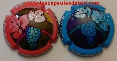 2 BELLES CAPSULES CHAMPAGNE STRAUSS GEORGETON GRAPPES REF N° 43 et 43a NEWS