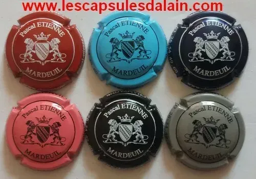 6 BELLES CAPSULES CHAMPÄGNE PASCAL ETIENNE REF N° 1 a 6 NEWS