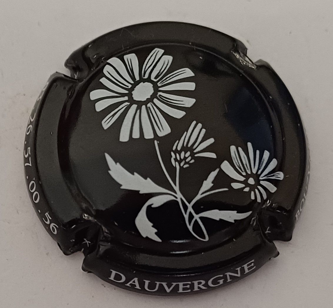 BELLE CAPSULE CHAMPAGNE BARON DAUVERGNE RÉF N°A0i SANS BARON  NEWS