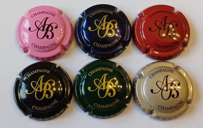 6 BELLES CAPSULES CHAMPAGNE BAGNOST.A REF N° 18 a 18e NEWS
