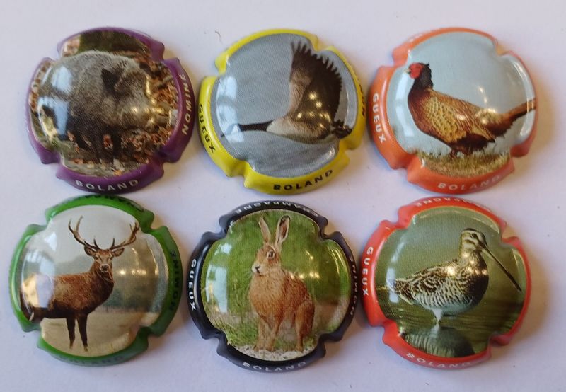 6 BELLES CAPSULES CHAMPAGNE BOLAND NOMINE CHASSE REF N° 17 a 17e NEWS