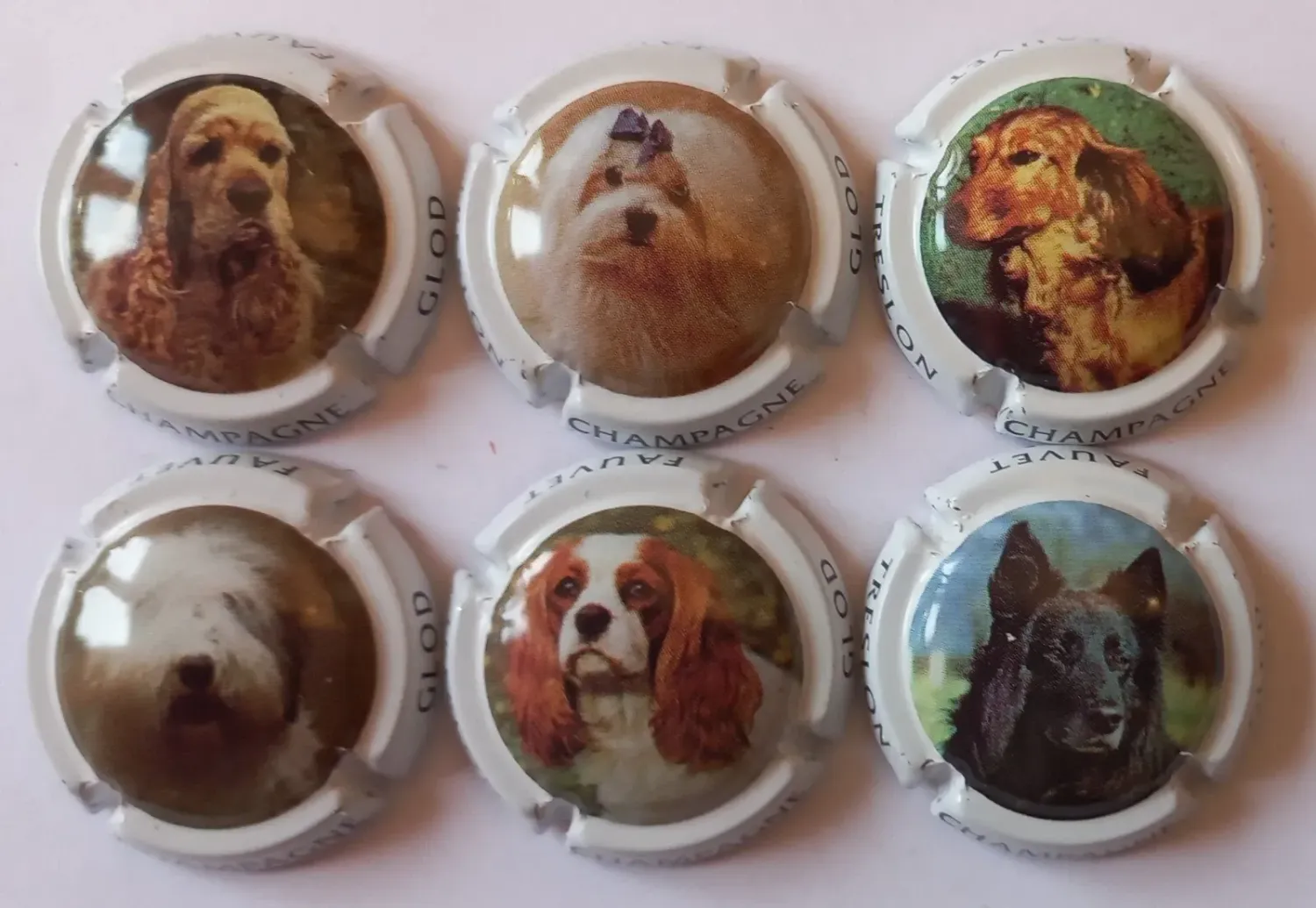 6 BELLES CAPSULES CHAMPAGNE GLOD FAUVET CHIEN REF N°7 a 7e NEWS
