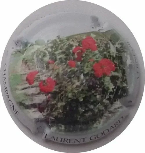 BELLE CAPSULE CHAMPAGNE GODARD LAURENT RÉF N°3 NEWS