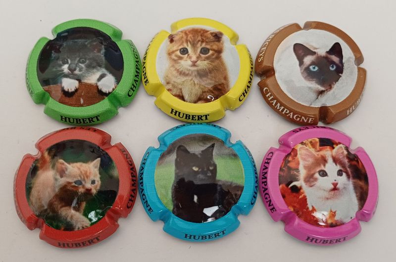 6 BELLES CAPSULES CHAMPAGNE HUBERT CHATS REF N°8 a 8e NEWS
