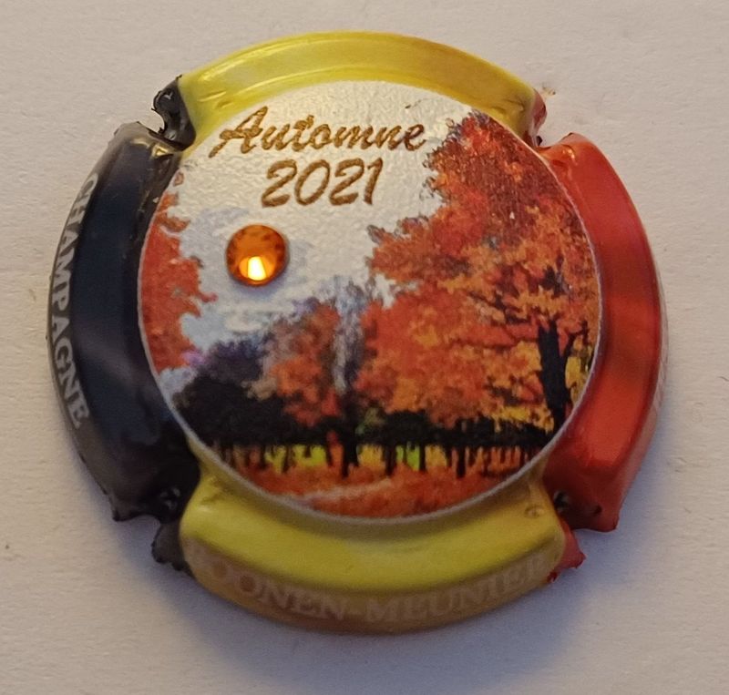 BELLE CAPSULE CHAMPAGNE BOONEN MEUNIER AUTOMNE 2021 REF N°50 NEWS