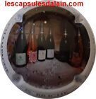 BELLE CAPSULE CHAMPAGNE BRICHE JULIE ET STEPHANE 550ex REF N°12 NEWS