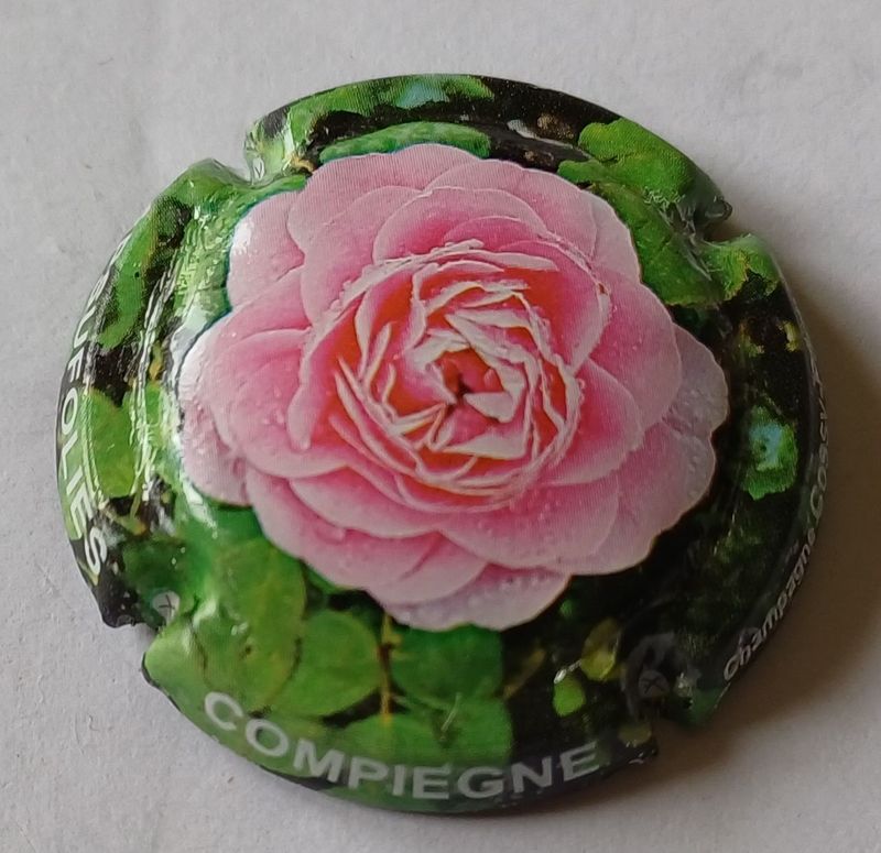 BELLE CAPSULE CHAMPAGNE COSSY PECHON CAPSULFOLIE 2017 RÉF N°11 NEWS