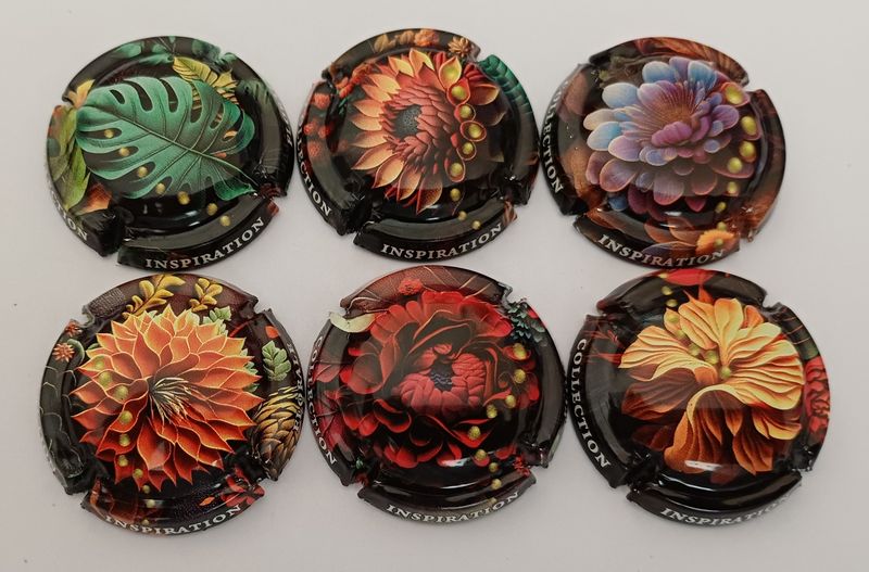 6 BELLES CAPSULES CHAMPAGNE GENERIQUE JINSPIRATION FLORALE REF N°1496 a 1496e NEWS