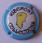 BELLE CAPSULE CHAMPAGNE COURTY LEROY RIBEMONT COLLECTIONS REF N°86a NEWS