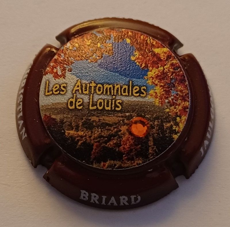 BELLE CAPSULE CHAMPAGNE BRIARD CHRISTIAN AUTOMNALE STRASS  REF N°5 NEWS