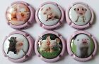 6 BELLES CAPSULES CHAMPAGNE GENERIQUE PETITS COCHON NEWS