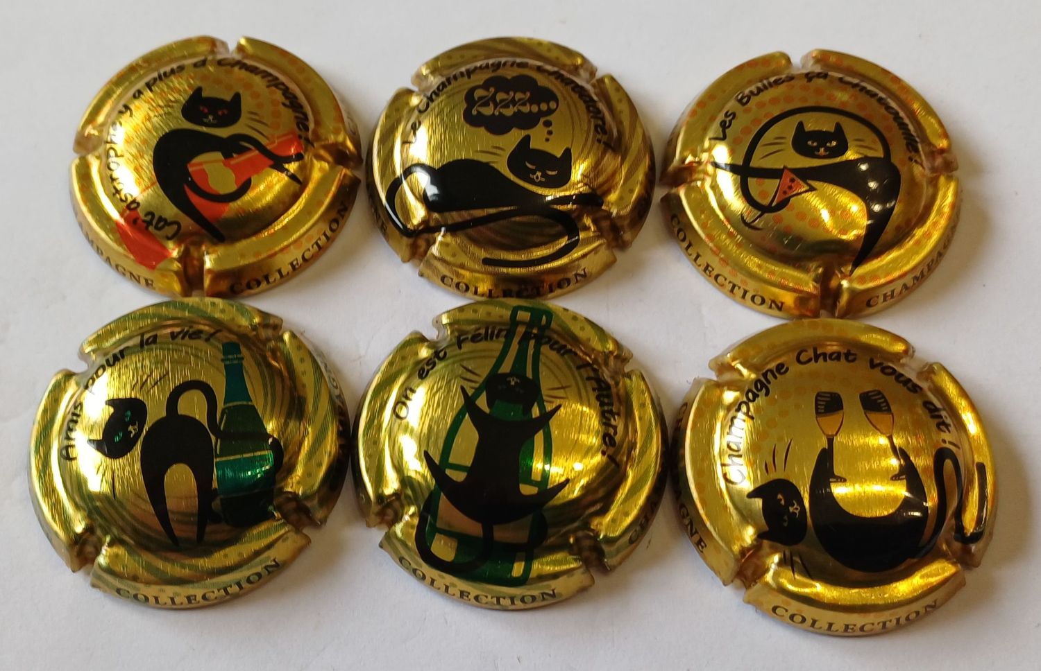 6 BELLES CAPSULES GENERIQUE LE CHAT ET LE CHAMPAGNE 2025 NEWS