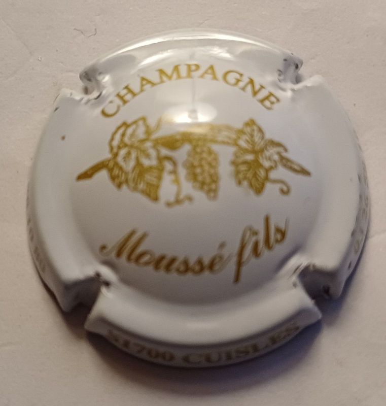BELLE CAPSULE CHAMPAGNE MOUSSE FILS REF N°1 NEWS