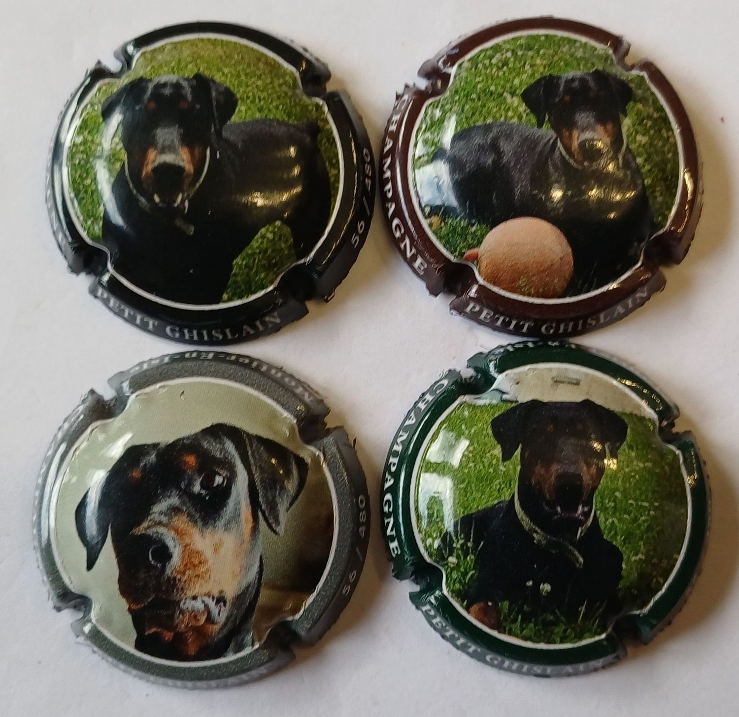 4 BELLES CAPSULES CHAMPAGNE PETIT GHISLAIN 480EX CHIEN 2025 NEWS