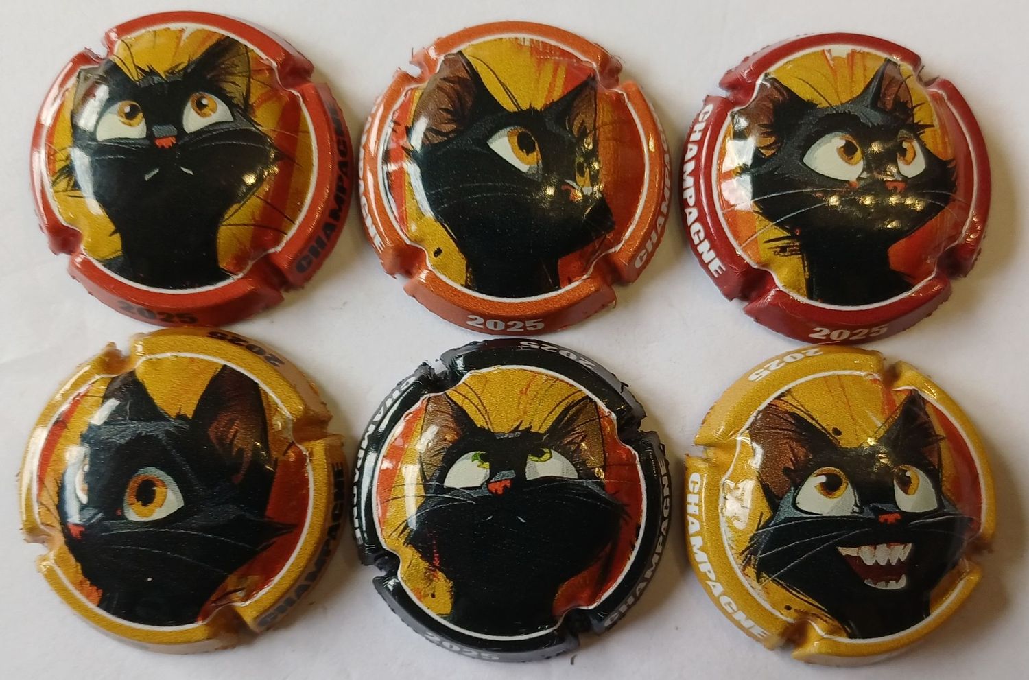 6 BELLES CAPSULES CHAMPAGNE GENERIQUE CHATS 2025 NEWS