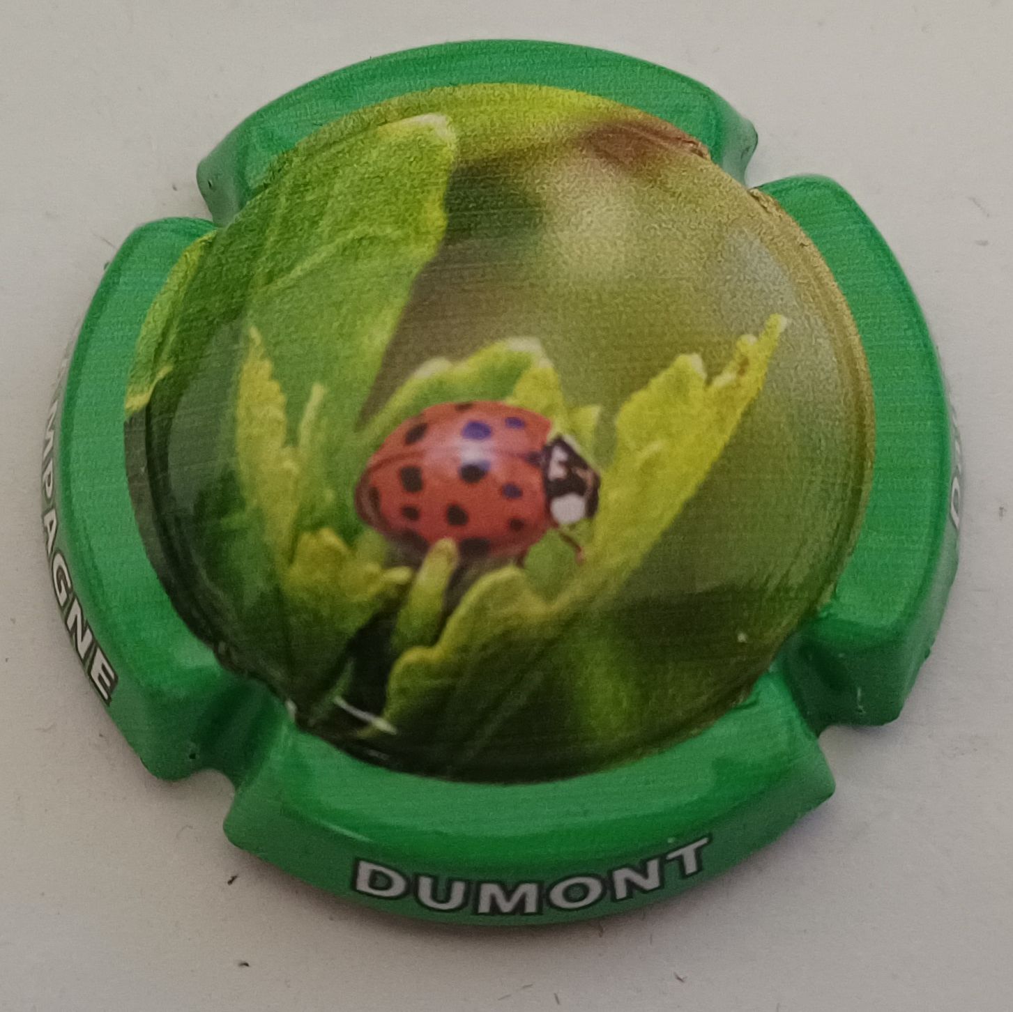 JEROBOAM CHAMPAGNE DUMONT DANIEL COCCINELLE REF N°9f NEWS