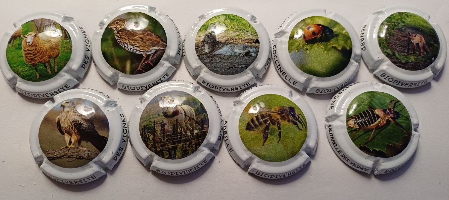 9 BELLES CAPSULES CHAMPAGNE GENERIQUE BIODIVERSITE REF N°1318 a 1318h NEWS