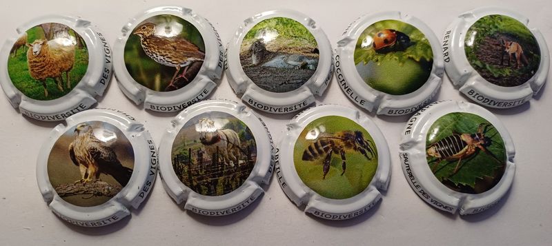 9 BELLES CAPSULES CHAMPAGNE GENERIQUE BIODIVERSITE REF N°1318 a 1318h NEWS 9 BELLES CAPSULES CHAMPAGNE GENERIQUE BIODIVERSITE REF N°1318 a 1318h NEWS