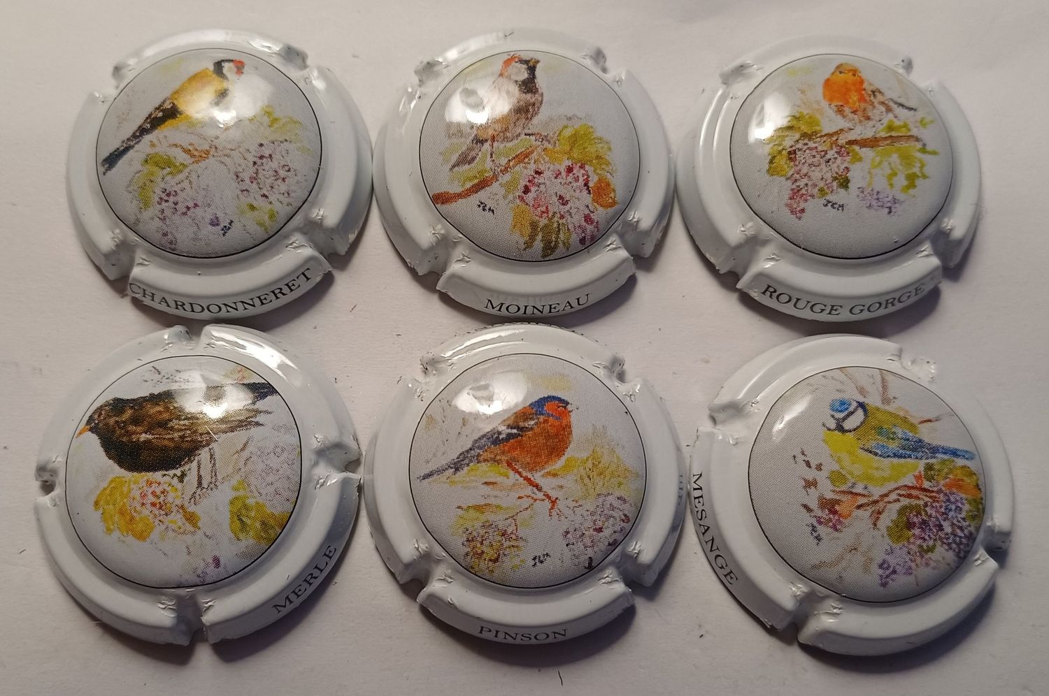 6 BELLES CAPSULES CHAMPAGNE GENERIQUE OISEAUX REF N°956 a 956e NEWS