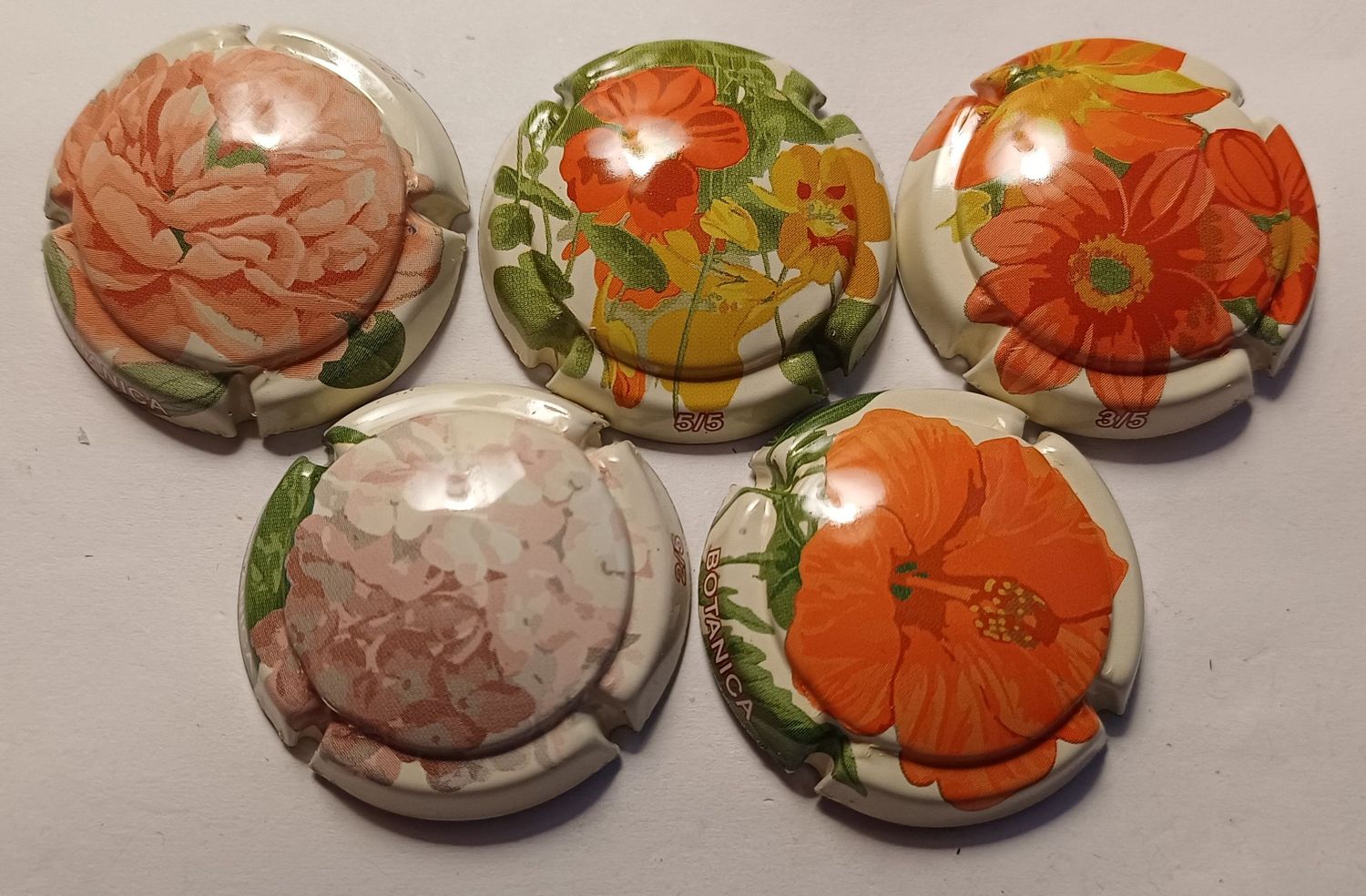 5 BELLES CAPSULES CHAMPAGNE GENERIQUE BOTANICA REF N°1044 a 1044d NEWS