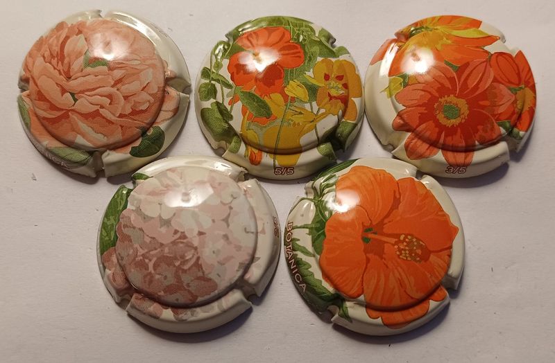 5 BELLES CAPSULES CHAMPAGNE GENERIQUE BOTANICA REF N°1044 a 1044d NEWS 5 BELLES CAPSULES CHAMPAGNE GENERIQUE BOTANICA REF N°1044 a 1044d NEWS