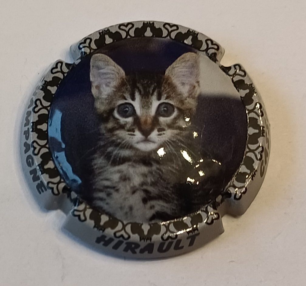 JÉROBOAM CHAMPAGNE HIRAULT CASSAN CHAT 2025 NEWS