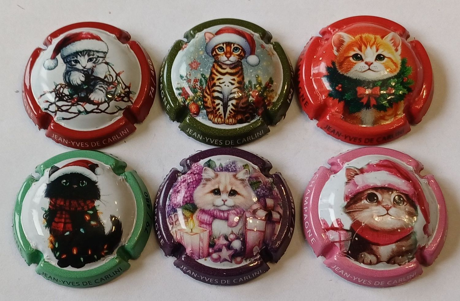 6 BELLES CAPSULES CHAMPAGNE DE CARLINI CHATS 480EX / 2025 NEWS