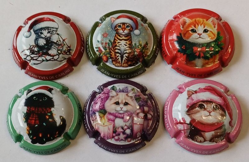 6 BELLES CAPSULES CHAMPAGNE DE CARLINI CHATS 480EX / 2025 NEWS