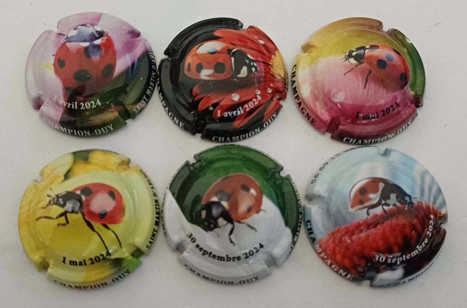 6 BELLES CAPSULES CHAMPAGNE CHAMPION OUY COCCINELLES REF N°34 a 34f NEWS