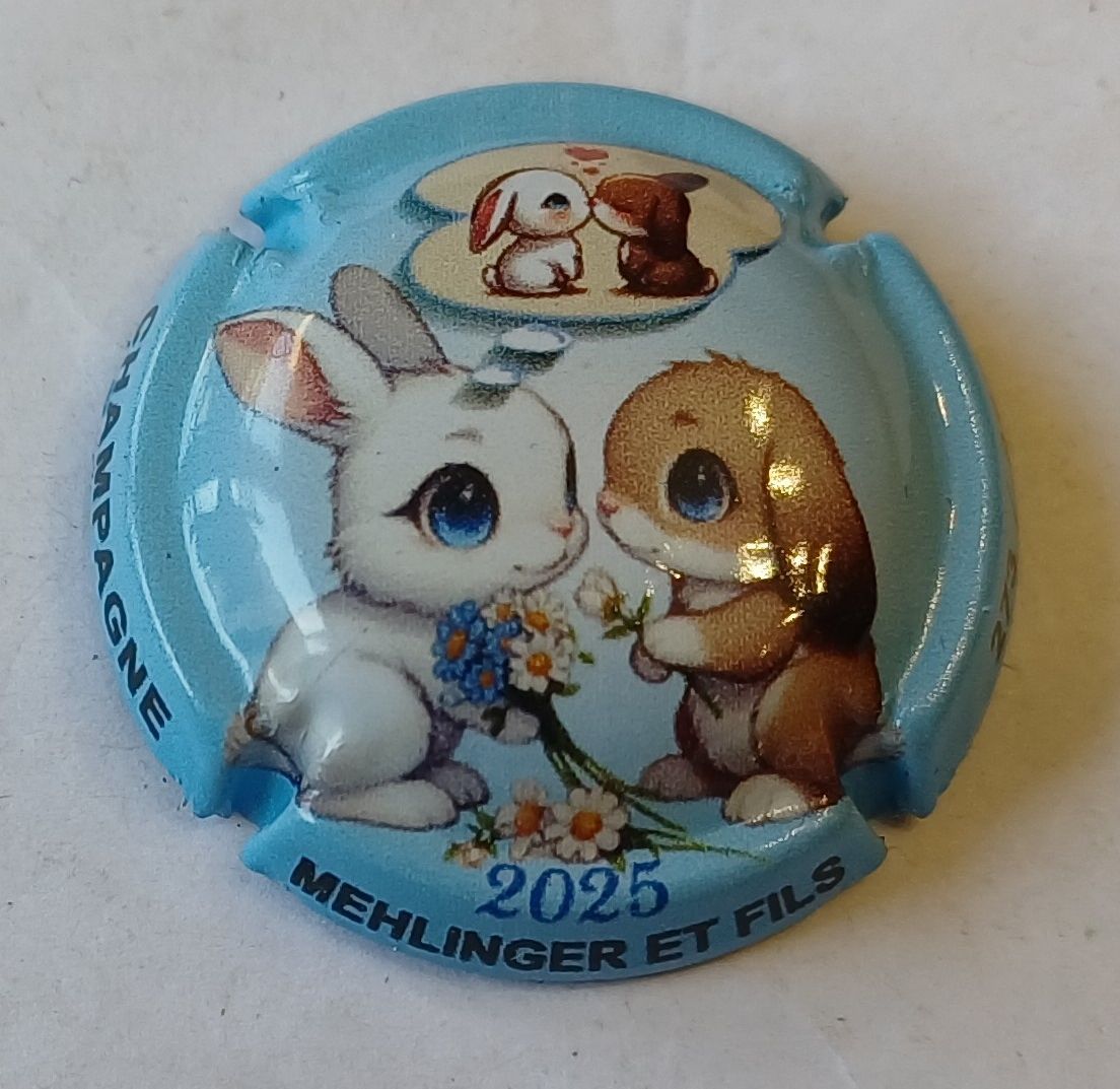 BELLE CAPSULE CHAMPAGNE MEHLINGER ET FILS ST VALENTIN 2025 480EX REF N°41 NEWS