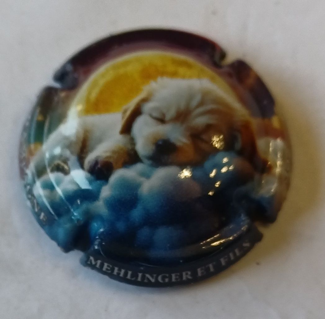 BELLE CAPSULE CHAMPAGNE MEHLINGER ET FILS CHIOT 2025 480EX REF N°A2 NEWS