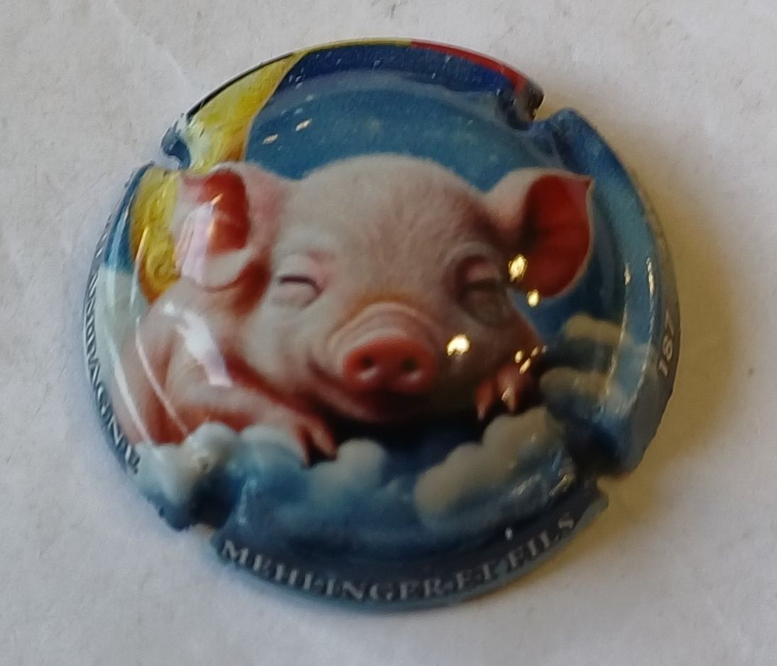 BELLE CAPSULE CHAMPAGNE MEHLINGER ET FILS PETIT COCHON 2025 480EX REF N°A2b NEWS