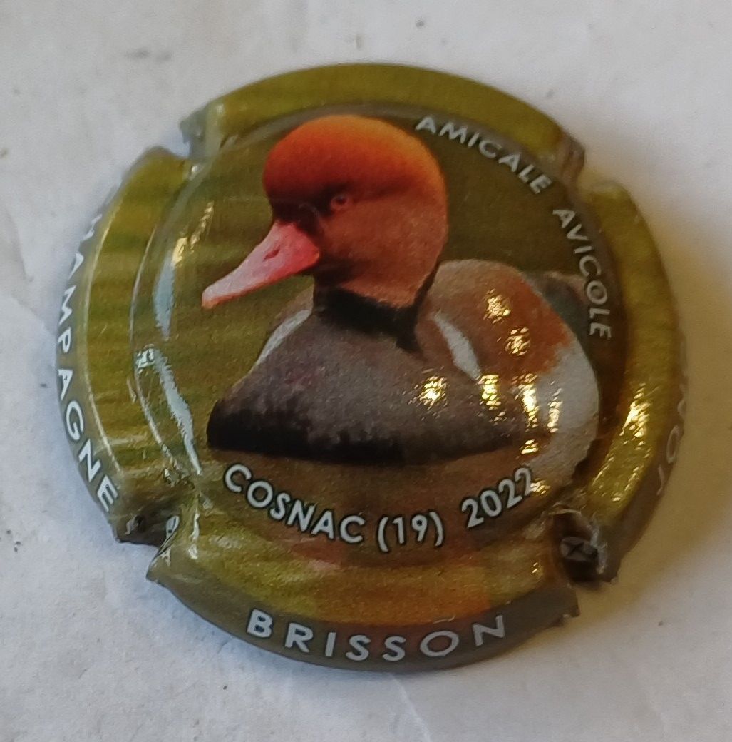 BELLE CAPSULE CHAMPAGNE BRISSON JONCHERE COSNAC 2022 REF N°58c NEWS