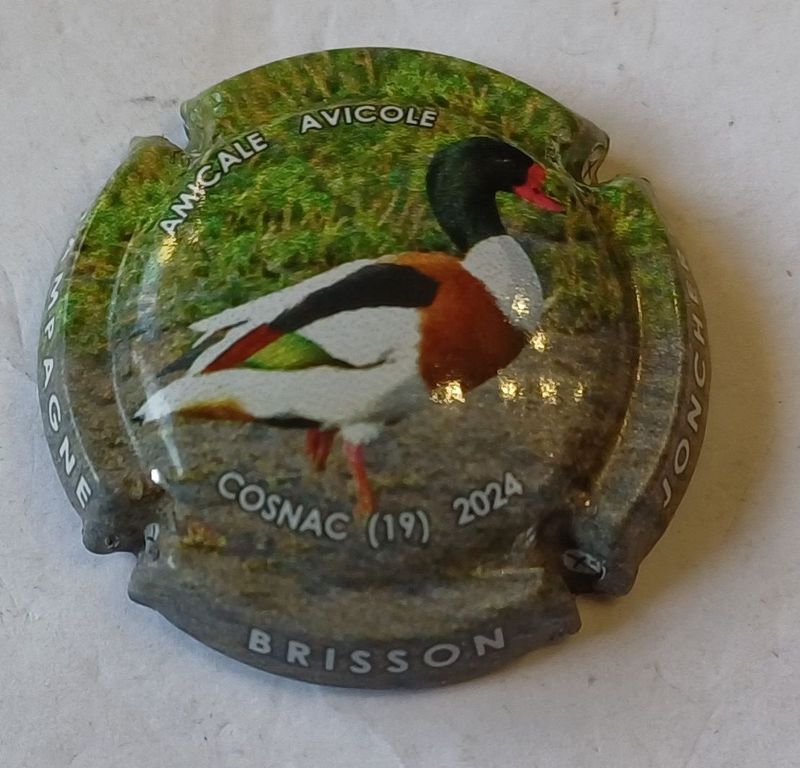 BELLE CAPSULE CHAMPAGNE BRISSON JONCHERE COSNAC 2024 REF N°58e NEWS BELLE CAPSULE CHAMPAGNE BRISSON JONCHERE COSNAC 2024 REF N°58e NEWS