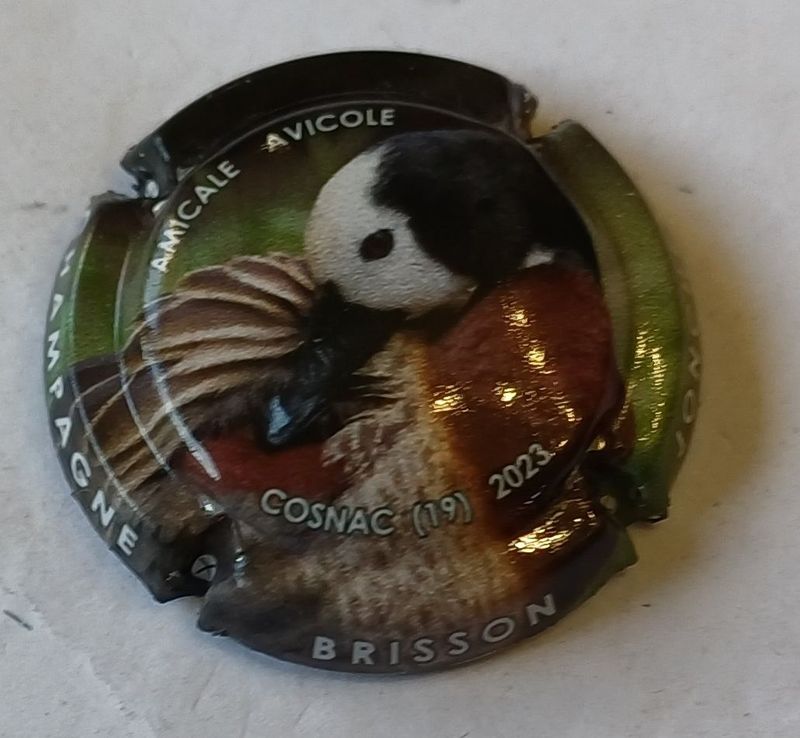 BELLE CAPSULE CHAMPAGNE BRISSON JONCHERE COSNAC 2023 REF N°58d NEWS BELLE CAPSULE CHAMPAGNE BRISSON JONCHERE COSNAC 2023 REF N°58d NEWS