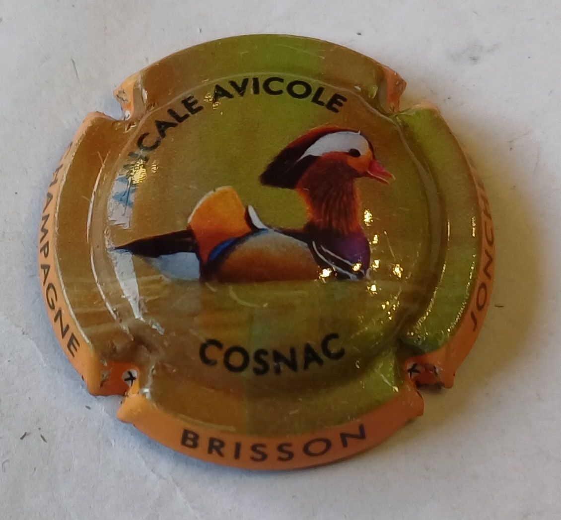 BELLE CAPSULE CHAMPAGNE BRISSON JONCHERE AMICALE COSNAC REF N°54 NEWS
