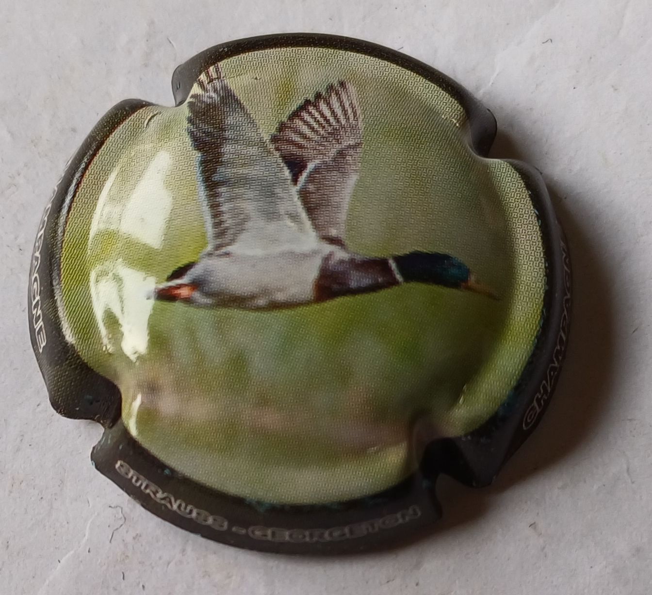 BELLE CAPSULE CHAMPAGNE STRAUSS GEORGETON LE CANARD REF N°17d NEWS