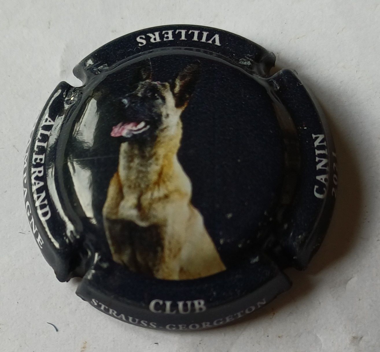 BELLE CAPSULE CHAMPAGNE STRAUSS GEORGETON CLUB CANIN 2021 REF N°46 NEWS