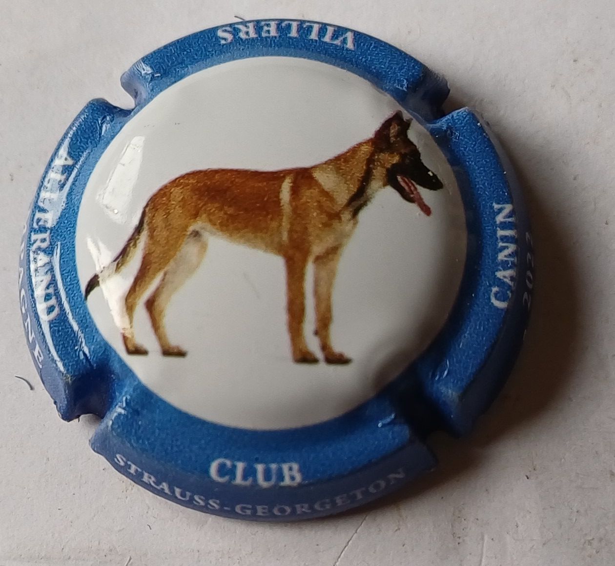 BELLE CAPSULE CHAMPAGNE STRAUSS GEORGETON CANIN 2022 REF N°49 NEWS