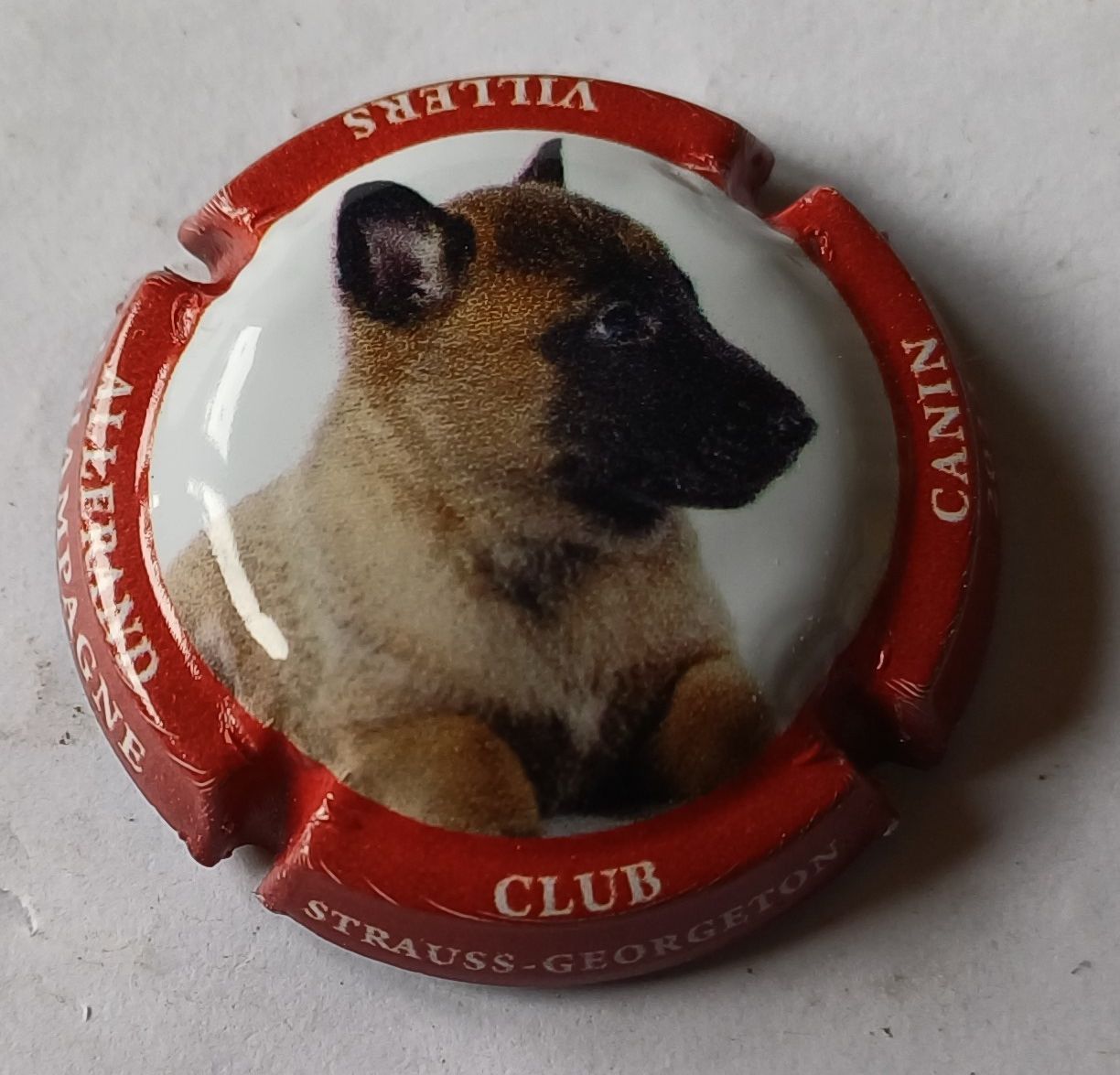 BELLE CAPSULE CHAMPAGNE STRAUSS GEORGETON CANIN 2022 REF N°49a NEWS