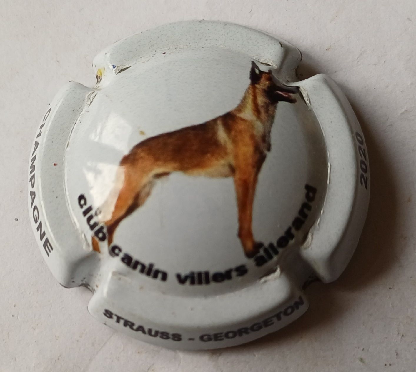 BELLE CAPSULE CHAMPAGNE STRAUSS GEORGETON CLUB CANIN 2020 REF N°A13 NEWS